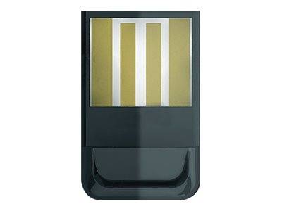 Schwarzes USB-Speicherlaufwerk mit transparenter Oberseite, die drei goldene Kontaktstellen zeigt.