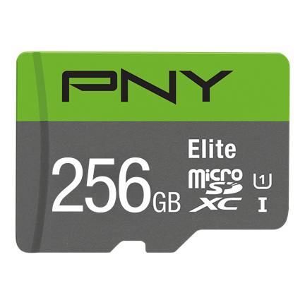 PNY Elite - Flash-Speicherkarte - 256 GB - A1 / Video Class V10 / UHS Class 1 / Class10