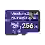 WDD256G1P0C Western Digital, MicroSDXC Speicherkarte, 256GB, Class 10, UHS-I U1, 128TBW, für Videoüberwachung
