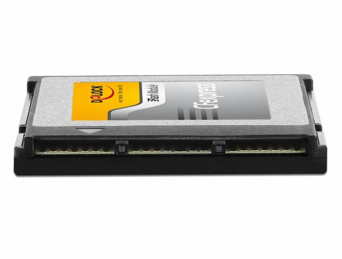 DeLOCK - Flash-Speicherkarte - 256 GB - CFexpress