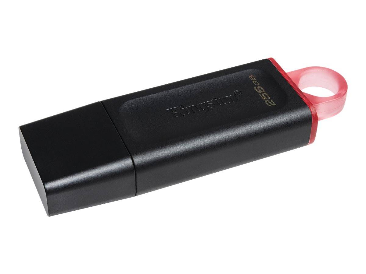 Schwarzer Kingston USB-Stick 256GB mit durchscheinendem rotem Deckelring, gezeigt auf weißem Hintergrund.