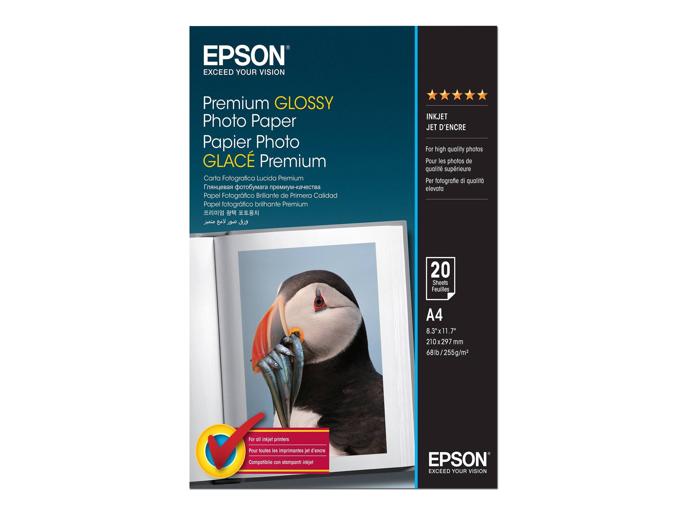 Epson Photo Quality Glossy Paper - Glänzend - A4 (210 x 297 mm)