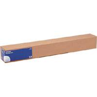 Epson - Glänzend - Rolle (43,2 cm x 30,5 m) - 250 g/m²