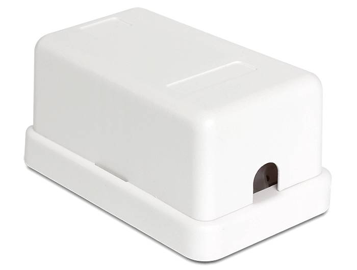 DeLOCK Keystone Surface Mounted Box - Gehäuse mit modularen Einsätzen