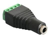 DeLOCK - Audio-Adapter - 4-poliger Anschlussblock (W)