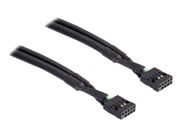 Delock - USB-Kabel - 10-poliger USB-Header (W)