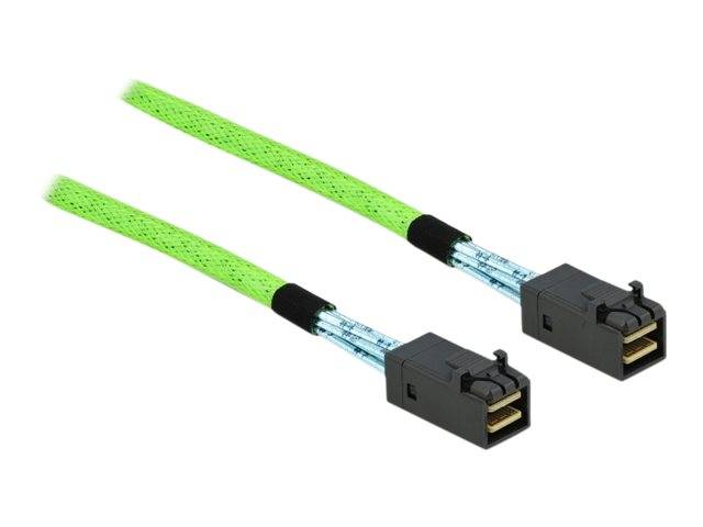 DeLOCK - Internes SAS-Kabel - SAS 64Gbit/s - gerade durchgeführt - Mini SAS HD (SFF-8673)