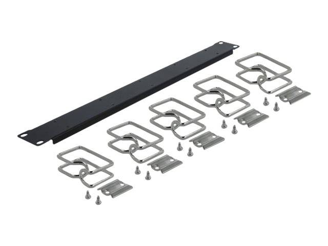 DeLOCK - Kabelführungsplatte für Schaltschrank - Schwarz - 1U - 48.3 cm (19")