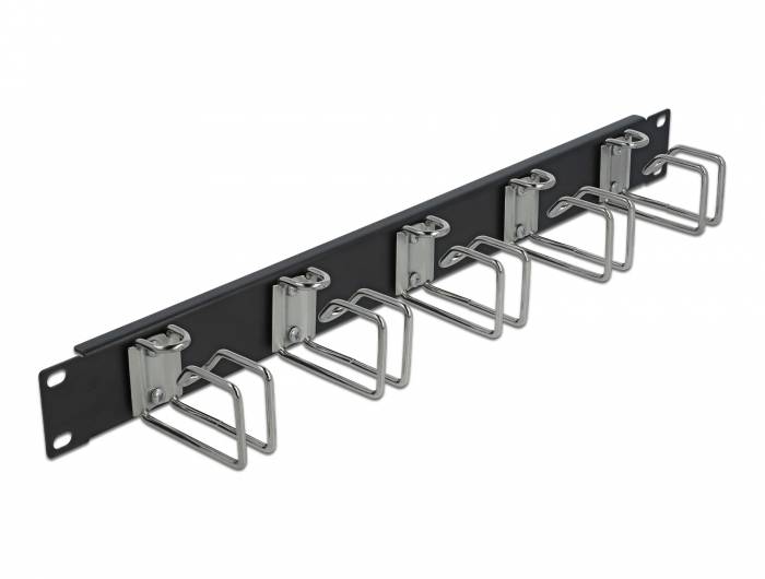 DeLOCK - Kabelführungsplatte für Schaltschrank - Schwarz - 1U - 48.3 cm (19")
