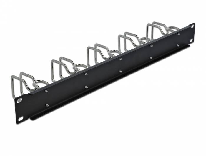 DeLOCK - Kabelführungsplatte für Schaltschrank - Schwarz - 1U - 48.3 cm (19")