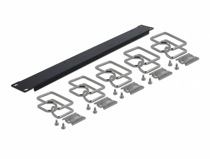 DeLOCK - Kabelführungsplatte für Schaltschrank - Schwarz - 1U - 48.3 cm (19")