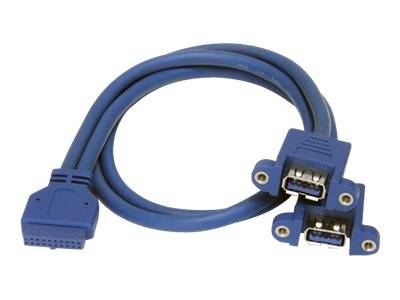 Blaues Datenkabel mit einem großen rechteckigen Anschluss an einem Ende und zwei übereinander angeordneten USB-ähnlichen Anschlüssen am anderen Ende zum Verbinden von Geräten.