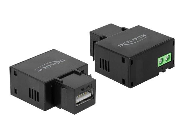 DeLOCK Keystone module - Modulare Eingabe - USB-Ladefunktion