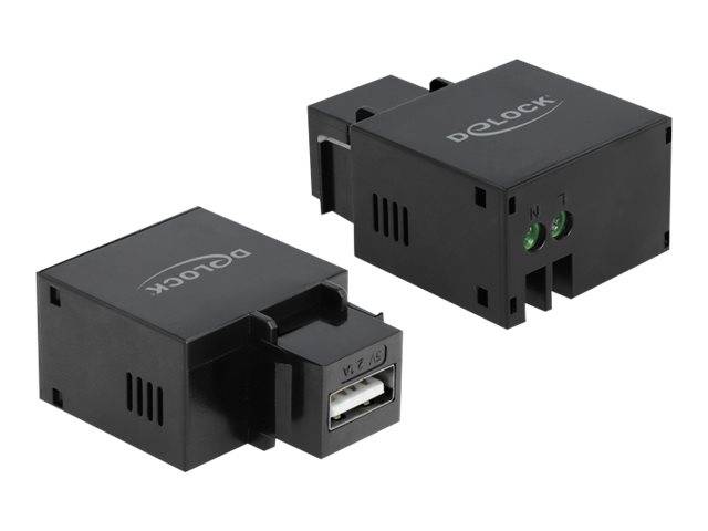 Delock Keystone module - Modulare Eingabe - USB-Ladefunktion