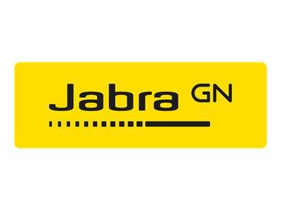 Jabra Evolve2 40 SE MS Stereo - Headset - On-Ear
