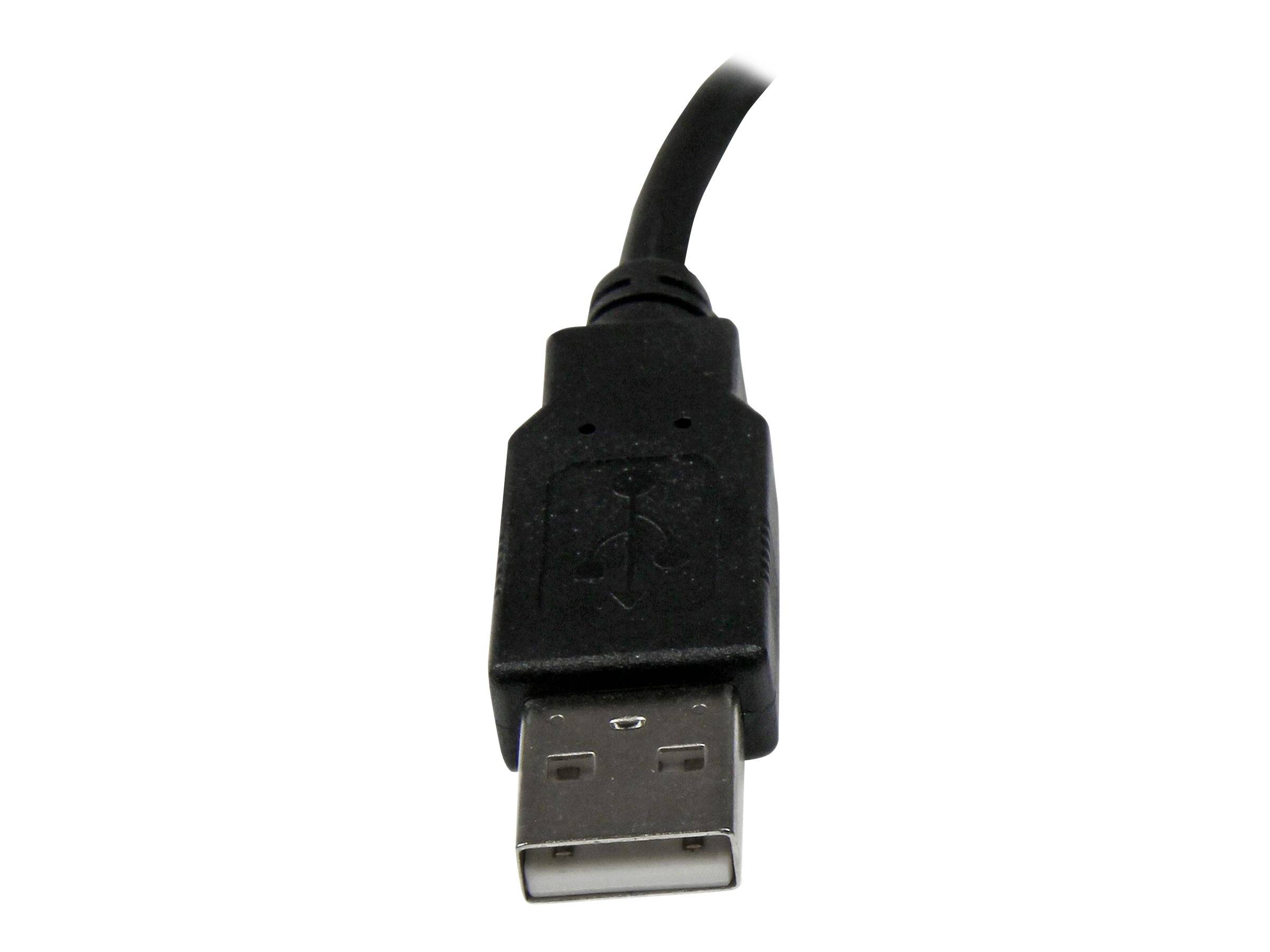 Nahaufnahme eines schwarzen USB-Typ-A-Steckers auf weißem Hintergrund.