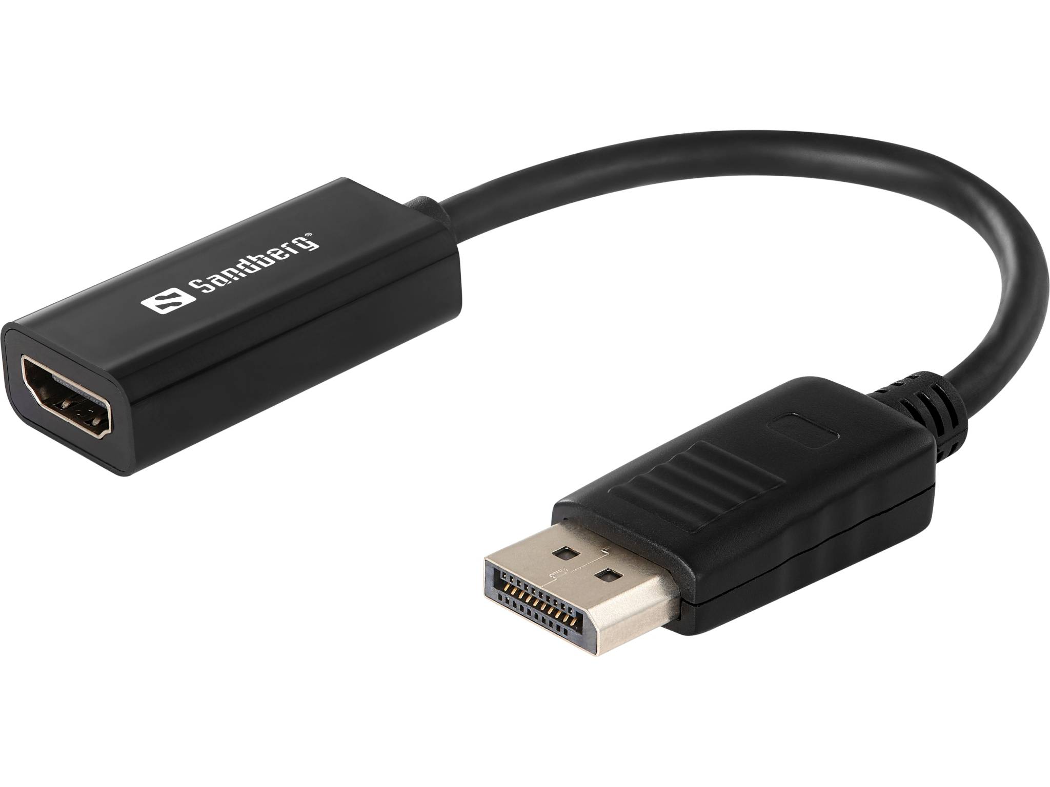 Sandberg - Videoadapter - DisplayPort männlich