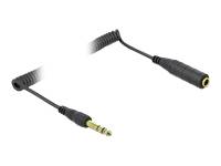 Delock Audioverlängerungskabel - Stereo-Stecker (M) - bis Stereo-Stecker (W) - 2