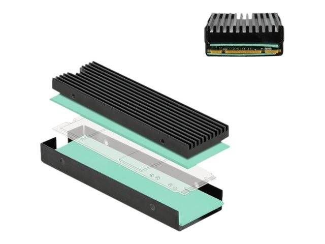 Delock - Solid State Drive Kühlkörper - Schwarz