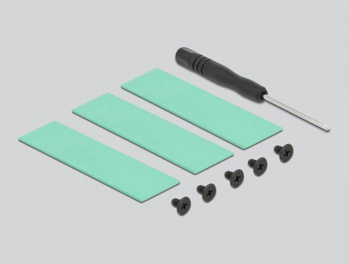 Delock - Solid State Drive Kühlkörper - Schwarz