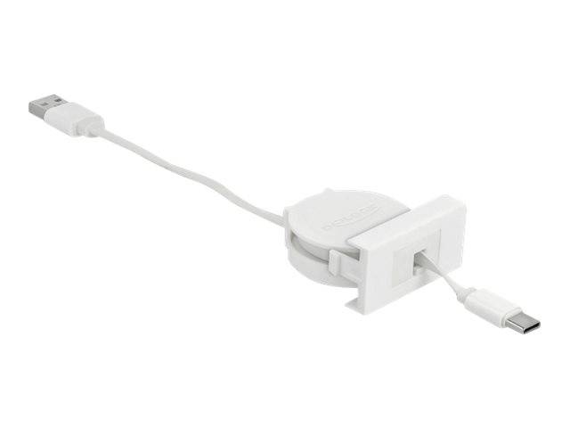 Delock - USB-Kabel - USB (M) bis USB-C (M) - USB 2.0