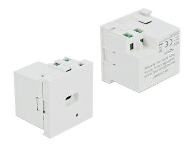 Delock Easy 45 - USB-Ausgang - USB Typ-C - einfach