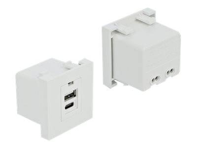 Delock Easy 45 - USB-Ausgang - USB, USB Typ-C