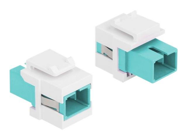 Delock - Modulare Eingabe - SC - weiß, Aquamarin