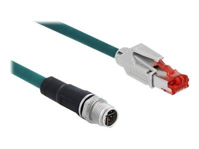 DeLOCK - Netzwerkkabel - 8 pin M12-X (M) bis RJ-45 (M)