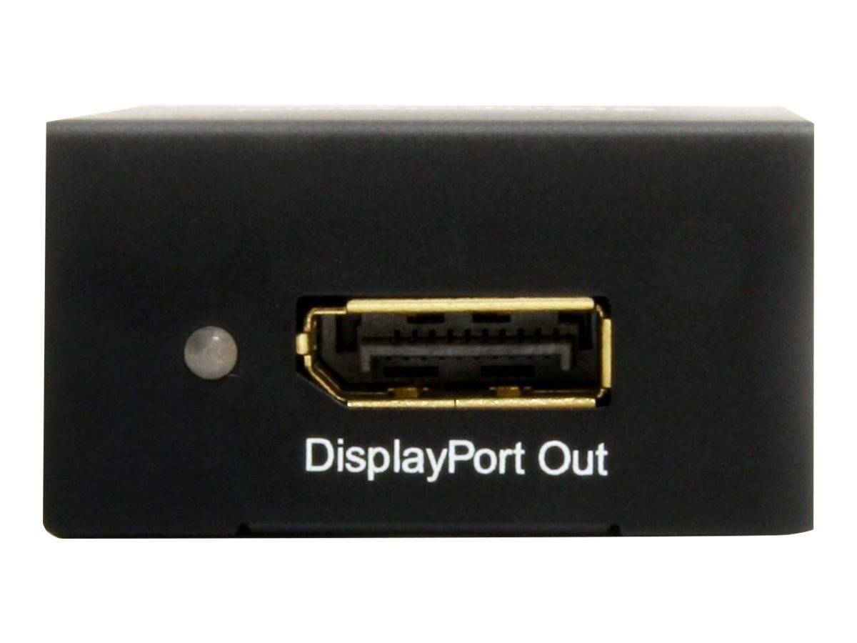 Nahaufnahme eines Geräteports mit der Beschriftung "DisplayPort Out"" mit einem DisplayPort-Stecker und einer kleinen Statusleuchte.