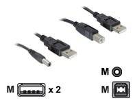 DeLOCK - Stromkabelkit - USB (M) bis USB Typ B, Gleichstromstecker 2,1 mm (M)