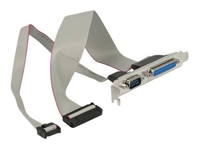 DELOCK Slotblech > 1xParallel + 1xSeriell gedrehte Belegung