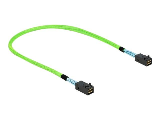 DeLOCK - Internes SAS-Kabel - SAS 64Gbit/s - gerade durchgeführt - Mini SAS HD (SFF-8673)
