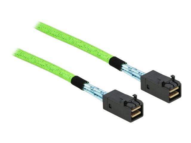 DeLOCK - Internes SAS-Kabel - SAS 64Gbit/s - gerade durchgeführt - Mini SAS HD (SFF-8673)