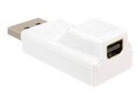 DeLOCK - DisplayPort-Adapter - DisplayPort (M)
