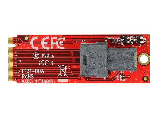 DeLOCK - Schnittstellenadapter - SAS 12Gb/s - 1.2 GBps