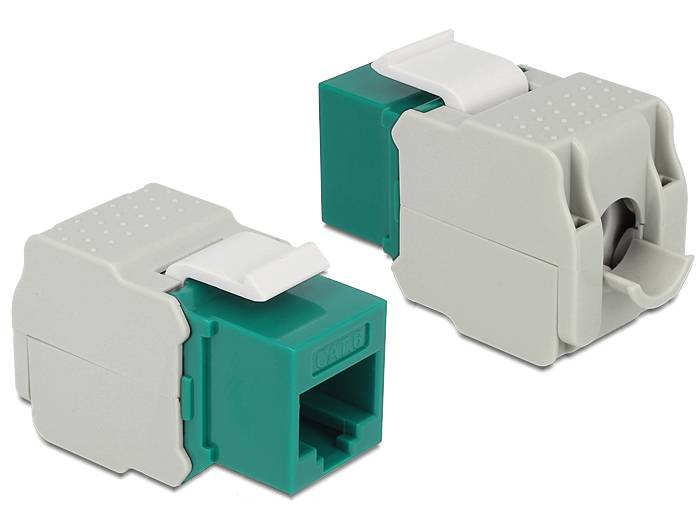 DeLOCK Keystone module - Modulare Eingabe - RJ-45