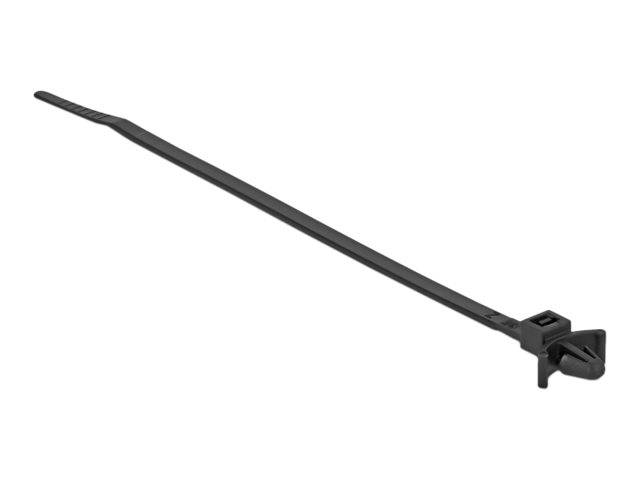 DeLOCK Cable Tie with Expansion Anchor - Kabelbinder