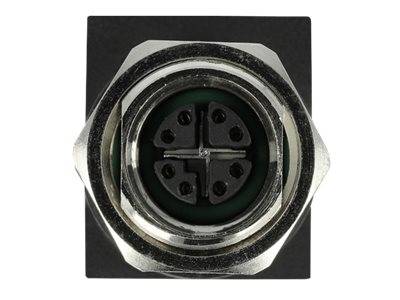 DeLOCK - Netzwerkadapter - 8-polig M12 (W) gerade bis RJ-45 (W)