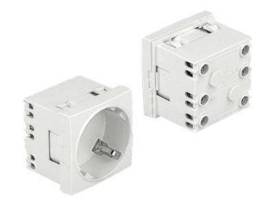Delock Easy 45 - Steckdose - 2P+E - Typ F - mit Verschluss - 1 Steckdose - 16 A - Wechselstrom 250 V - weiß, RAL 9003 (Packung mit 10)