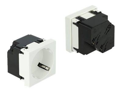 Delock Easy 45 - Steckdose - 2P+E - Typ F - mit Verschluss - 1 Steckdose - 16 A - Wechselstrom 250 V - weiß, RAL 9003 (Packung mit 10)