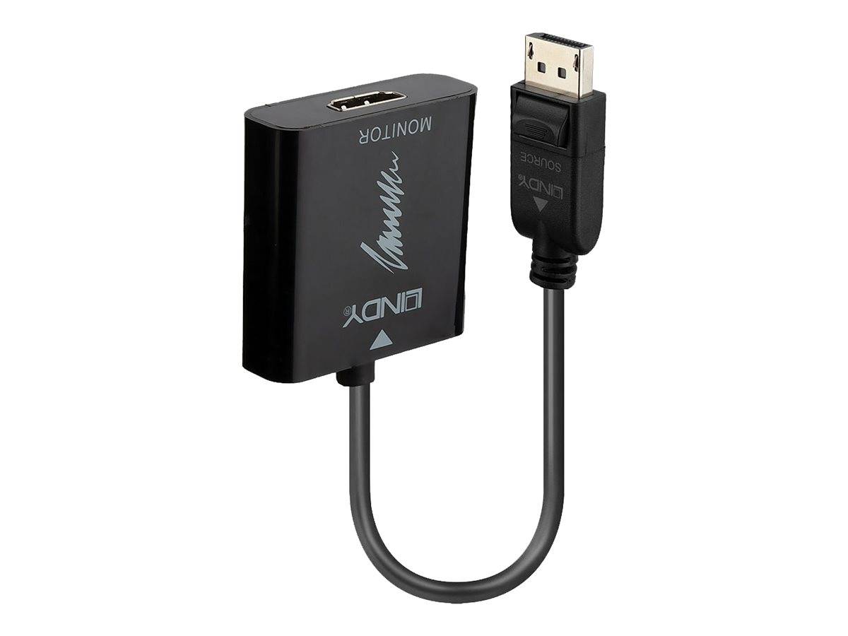 Lindy - Video- / Audio-Adapter - DisplayPort (M)