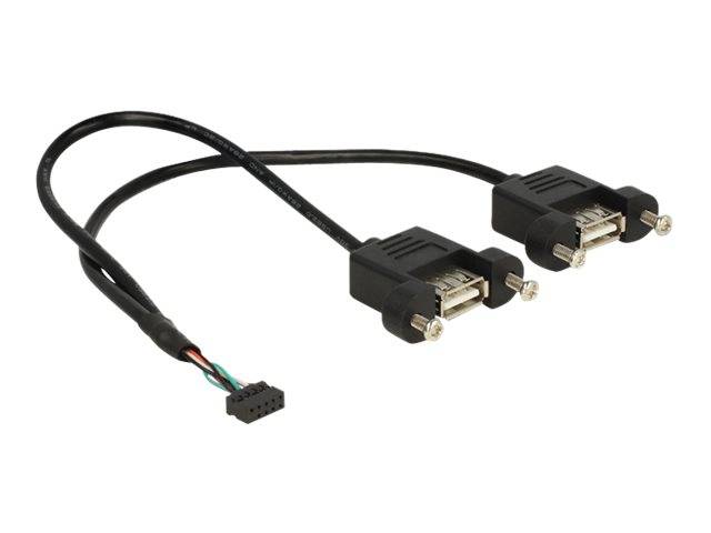 Dual-DVI-I-Kabel zum Motherboard mit zwei männlichen DVI-Anschlüssen und einem kleinen internen Platinen-Header-Stecker