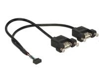 DeLOCK - USB-Kabel intern auf extern - 10-poliger USB-Header (W)