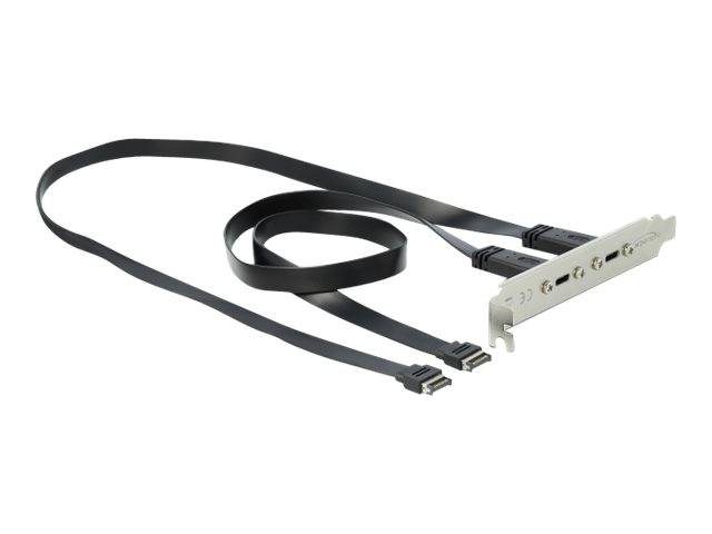 DeLOCK Slot bracket - USB-Konsole - 20-poliger USB 3.1 Header (M)