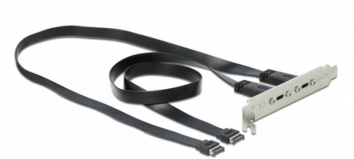 DeLOCK Slot bracket - USB-Konsole - 20-poliger USB 3.1 Header (M)