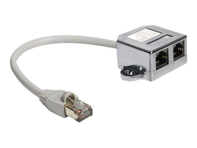 DeLOCK RJ45 Port Doubler - Ethernet 100Base-TX-Splitter - RJ-45 (M)