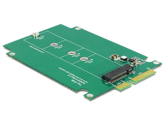 DeLOCK Converter SATA 22 pin > M.2 NGFF - Speicher-Controller