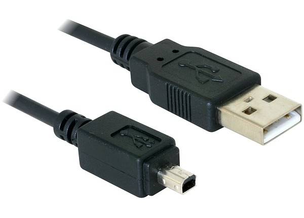 Delock - USB-Kabel - USB (M) bis mini-USB Typ B (M)