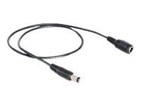 DeLOCK - Spannungsversorgungs-Verlängerungskabel - Gleichstromstecker 5,5 x 2,1 mm (M)